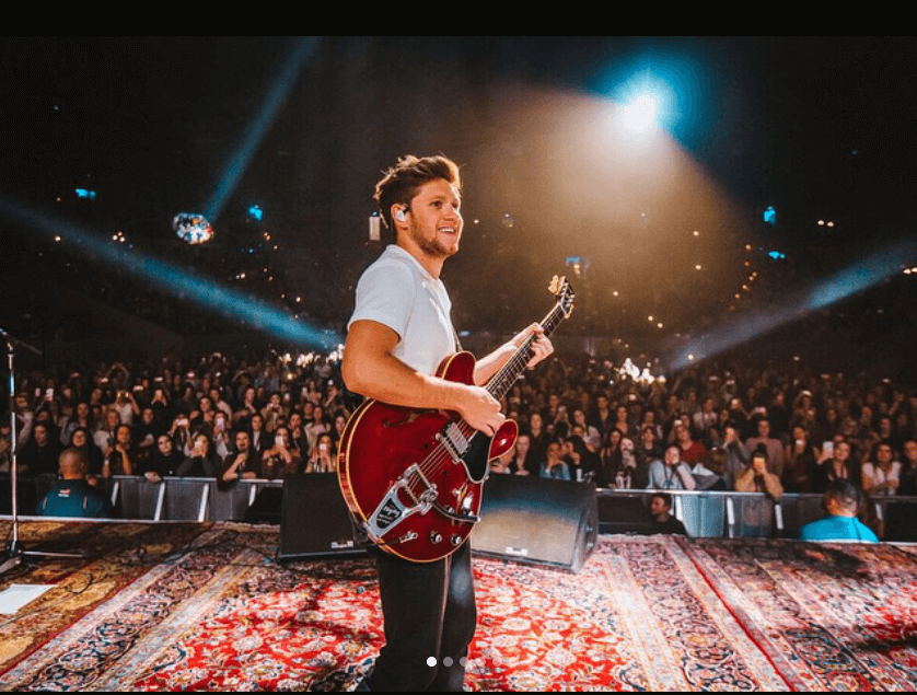 His tour. Найл Хоран концерт. Horan выступление. Найл Хоран концерт в Москве. Online Concert Nile Horan.