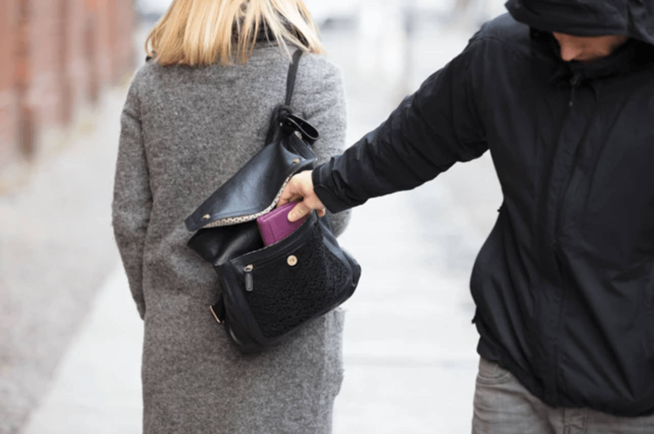 pickpocket safe purse