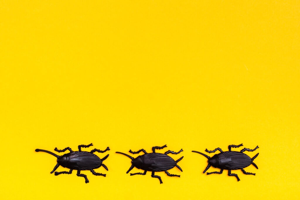 Black plastic cockroaches on a yellow cardboard background. 