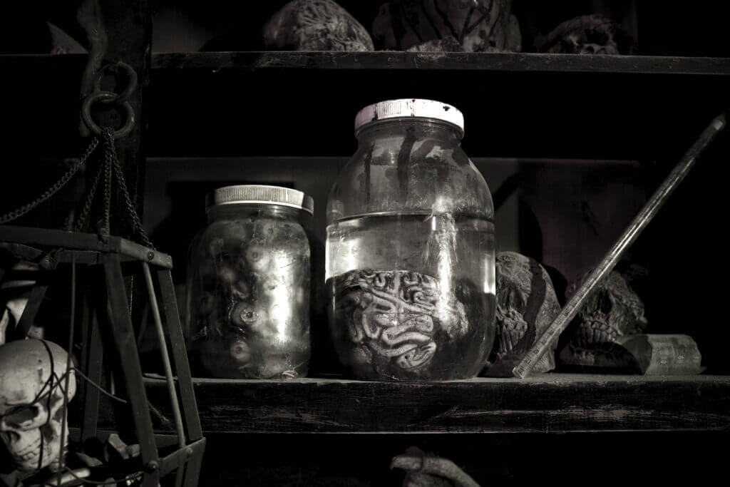 Brains and Eyeballs in jars