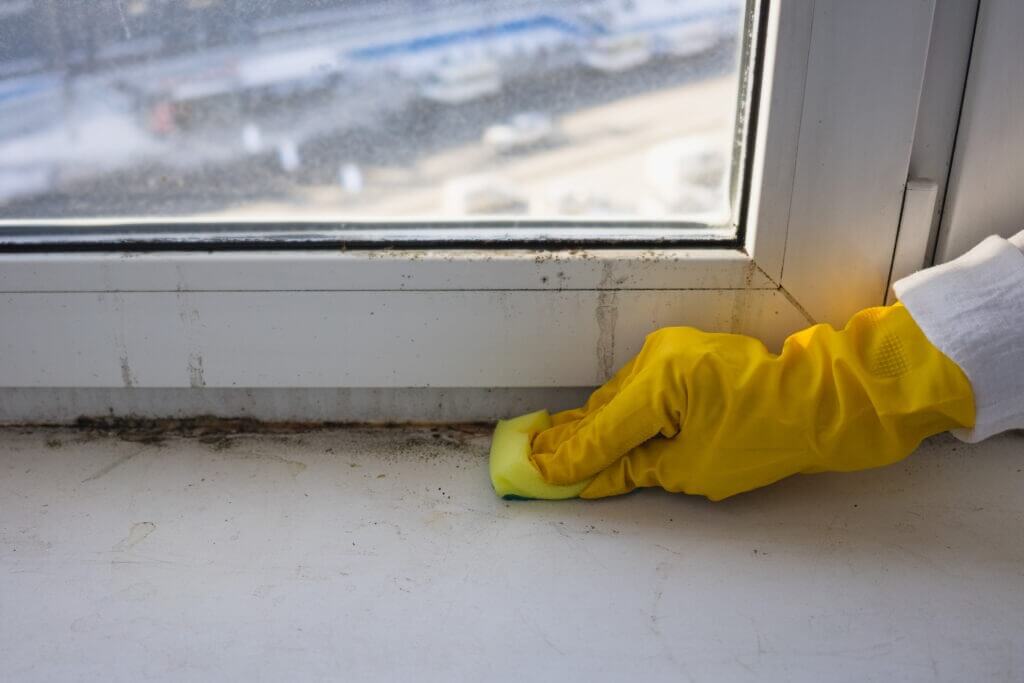 Cleaning the plastic window sill from mold and dirt