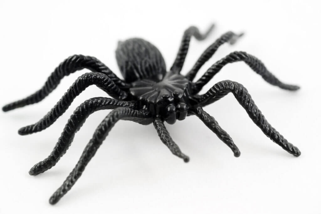 Scary plastic spider for halloween