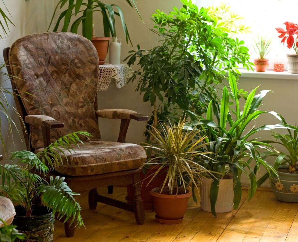 Cozy corner at home in the morning lights