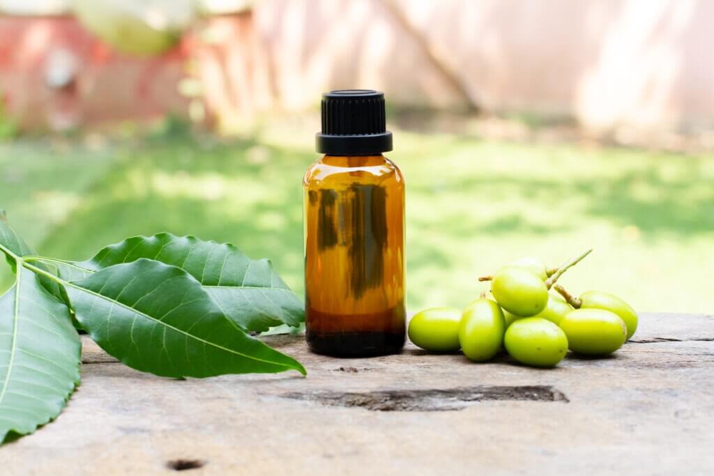 Neem oil in glass bottle with neem fruit and green leaf on wooden and blur background on sunny day.