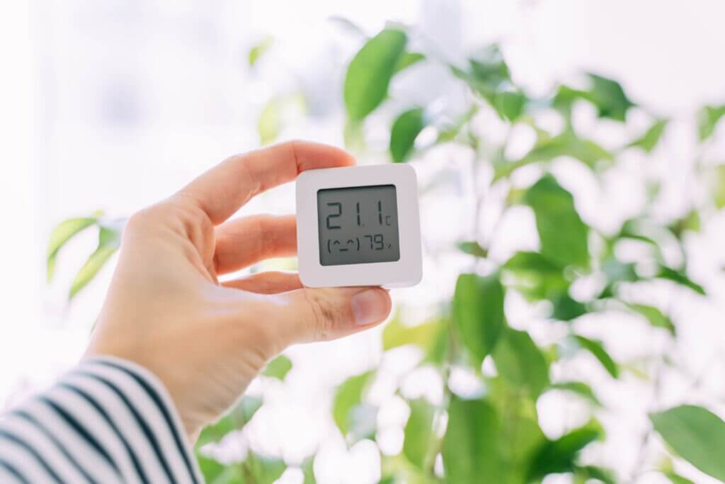 Temperature and humidity meter in a female hand on plants background. Comfortable climate at home.