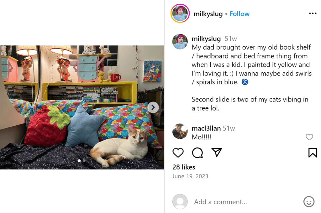 Cat sleeping on a colorful twin bed, in front of a headboard made of a bookshelf full of books. 