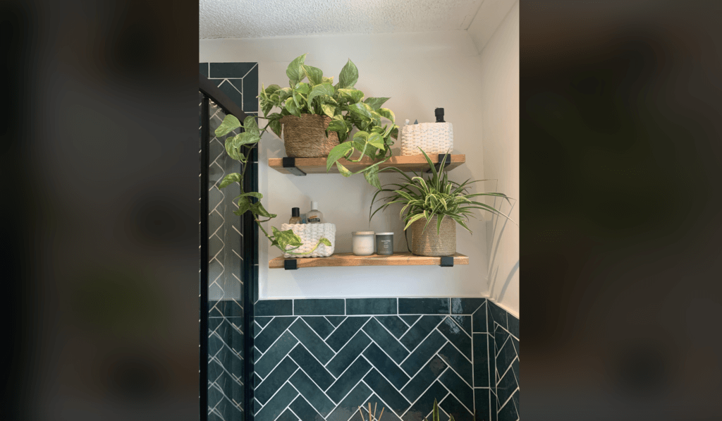 plants in the bathroom