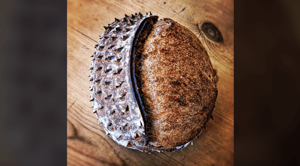 sourdough bread as a dragon egg