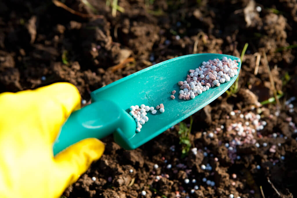 Yellow gloved hand holding a green scoop with fertilizer