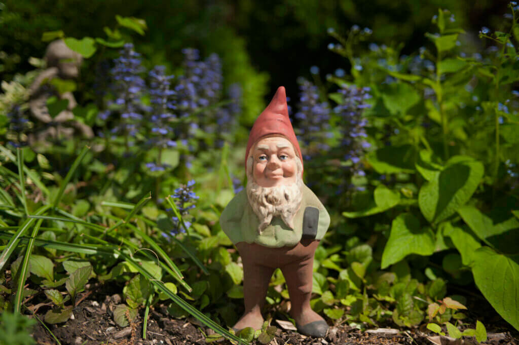 Garden gnome with hammer in the foliage