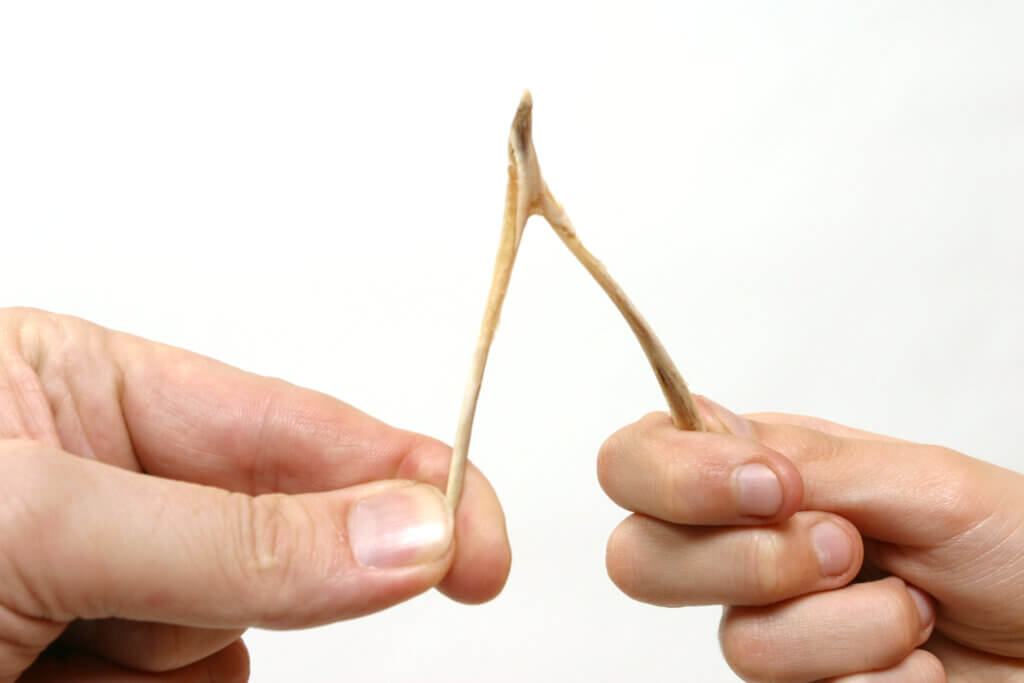 Two people about to break a wish bone.