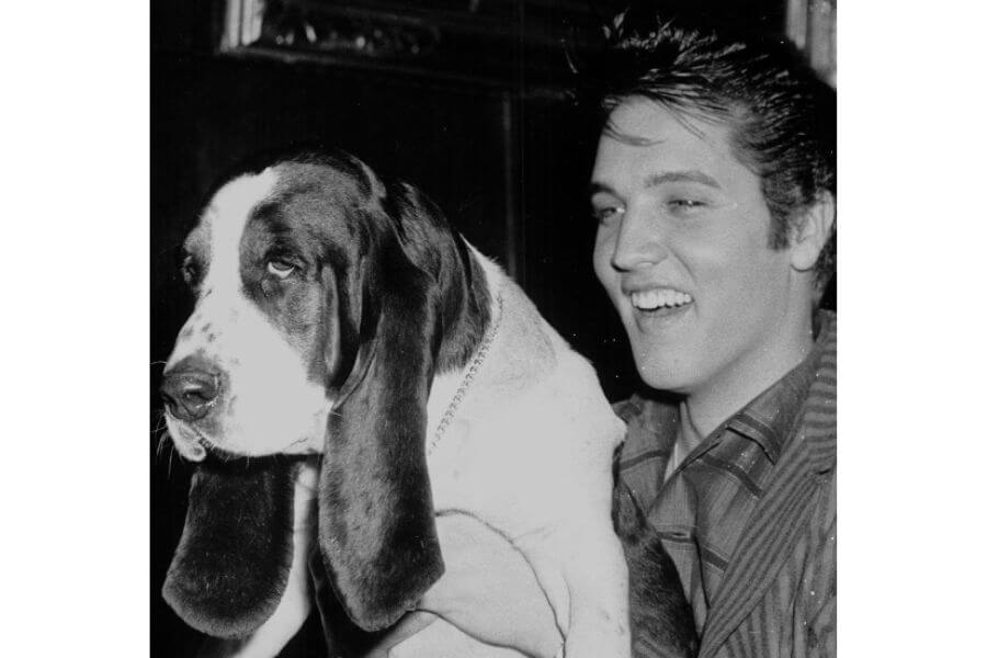 Elvis smiling while holding a tired looking dog