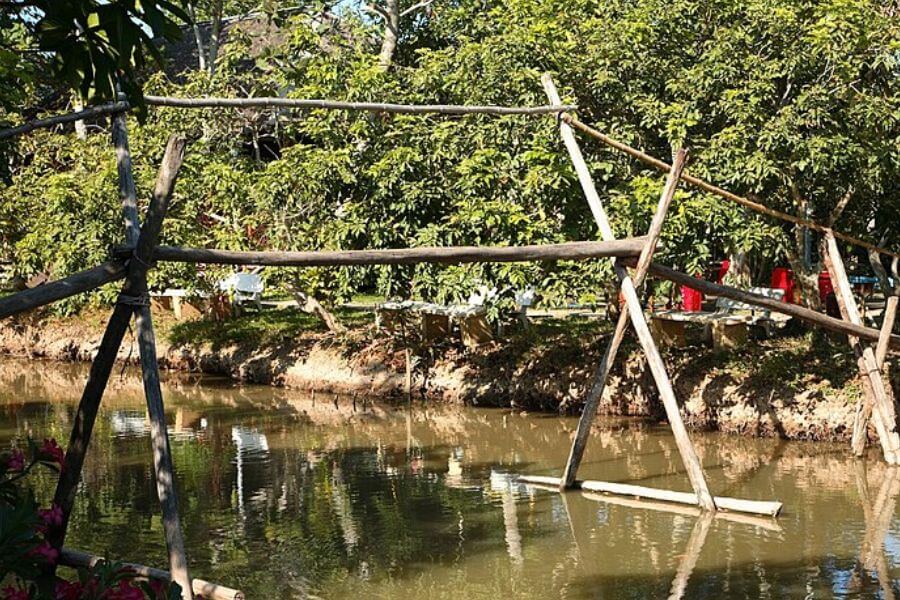 Monkey Bridges