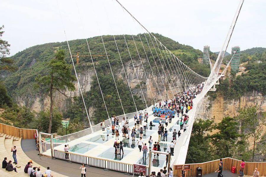 Longest Glass Bridge