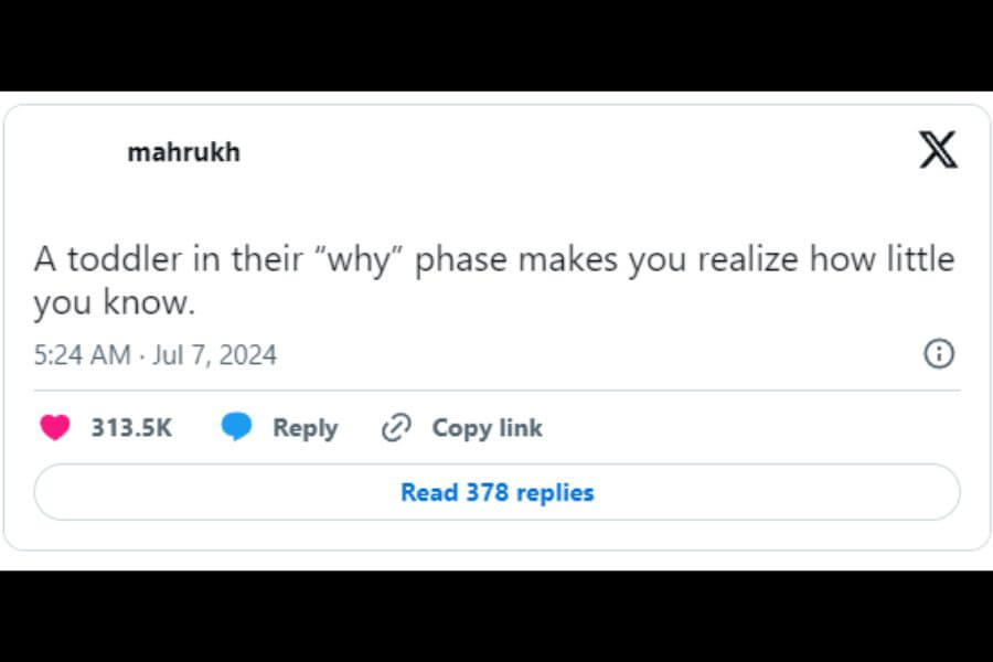 Tweet about a toddler in their why phase