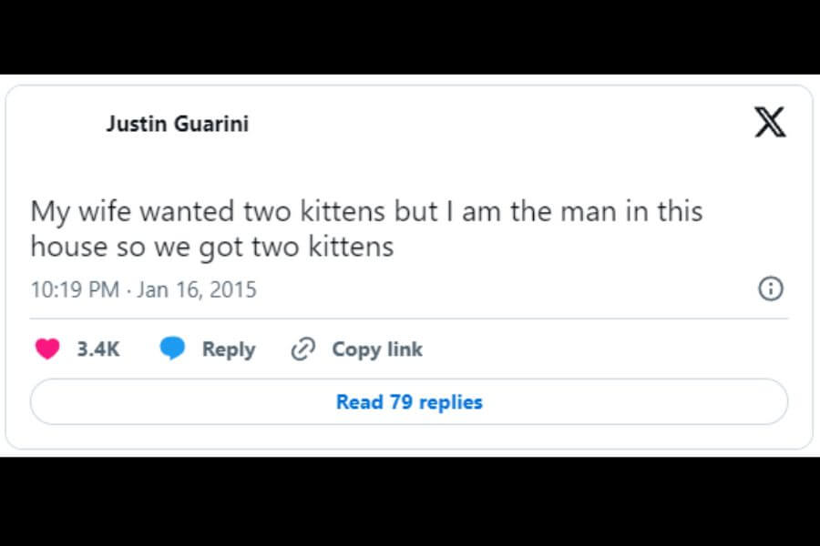 Tweet about kittens