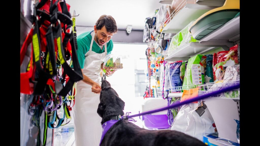 A man providing items for a dog.