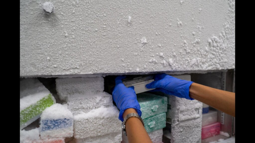 The researcher opens the storage box that keeps the sample in -80C refrigerator.