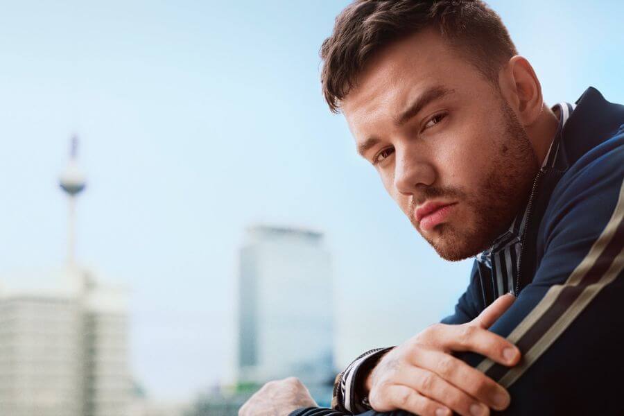 portrait of liam payne