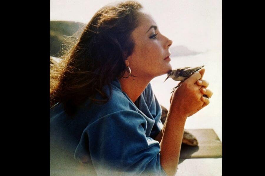 Elizabeth Taylor holding a small bird