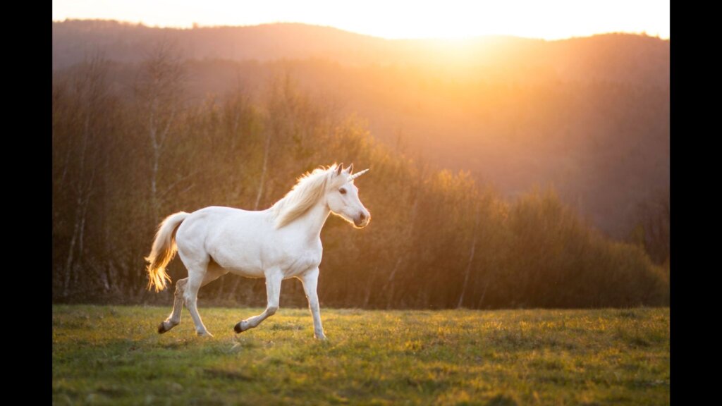 Beautiful mare horse unicorn running free on meadow during sunset.