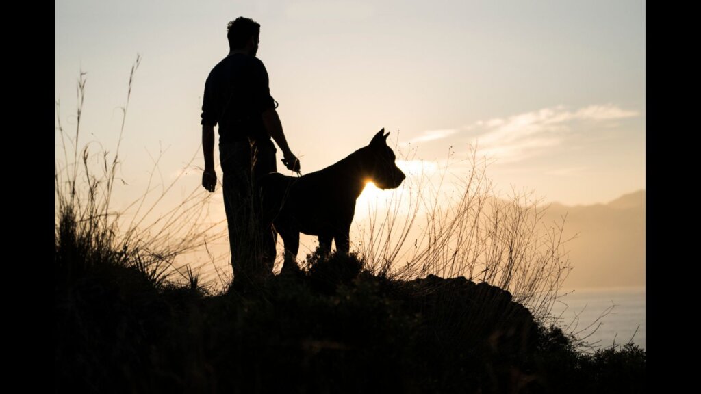 A man and a dog in silhouette.