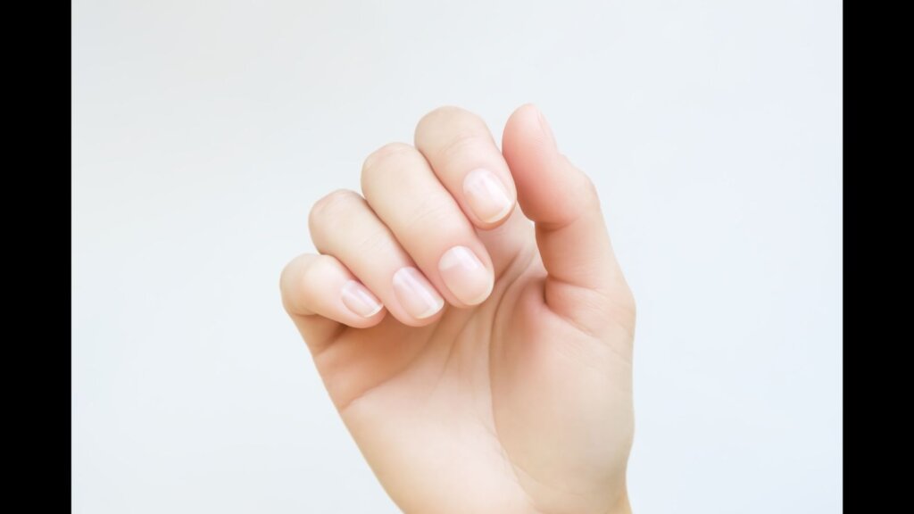 Female hand with natural healthy nails.