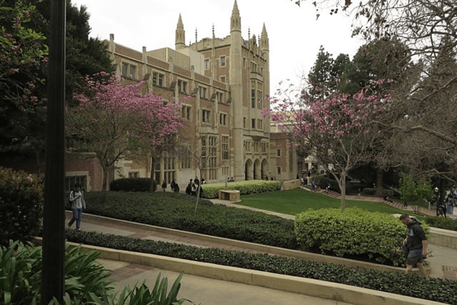 The image shows a university campus building with a Gothic architectural style, surrounded by well-maintained greenery, pathways, and blooming trees. The setting is peaceful, with a few students walking along the paths, giving the scene an academic atmosphere.

This building is likely part of the University of California, Los Angeles (UCLA) campus, known for its beautiful architecture and landscaped grounds.