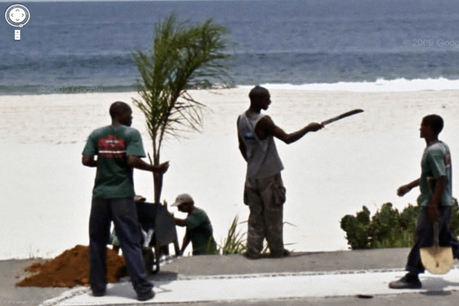 This image shows a group of workers on a beach, with one man holding a small palm tree for planting while another holds a large machete, likely to assist in the planting process.