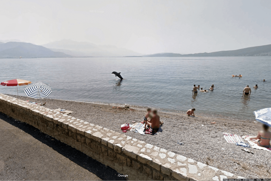 This image shows a peaceful beach scene with people relaxing on towels and swimming in the calm waters near the shore. An intriguing detail in the background captures attention—a dolphin or dolphin-shaped object appears to be leaping out of the water, adding an unexpected and playful element to the scene. 