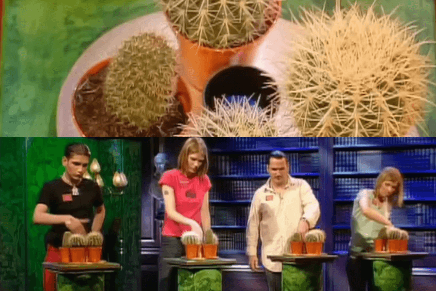 The image shows contestants on a game show tasked with placing their hands on spiky cacti, testing their pain tolerance and endurance. The contestants appear focused, despite the obvious discomfort, as they press their hands down on the prickly plants—a challenge that combines both bravery and humor in a classic game show format.