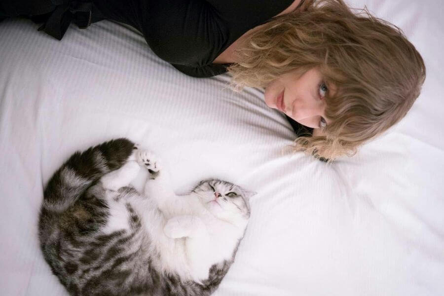 taylor swift with a cat