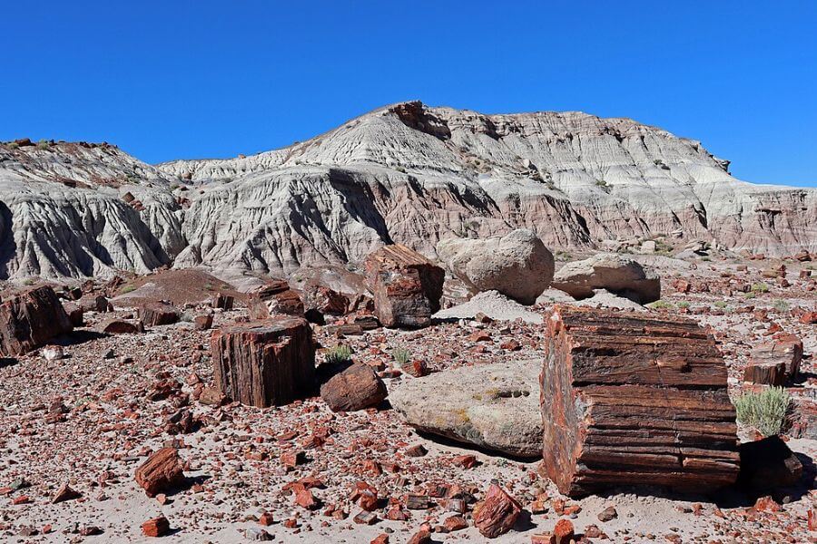 Arizona Petrified Forest