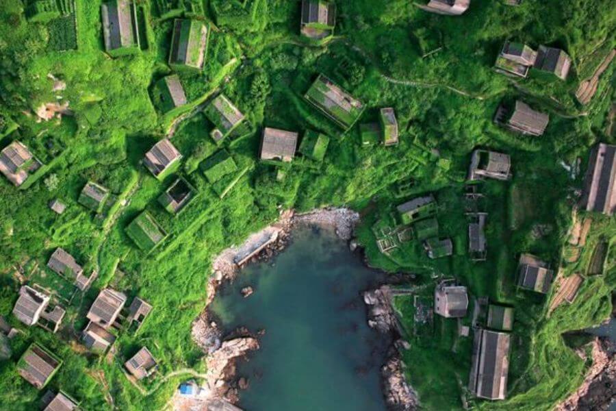 abandoned city in china covered in plants