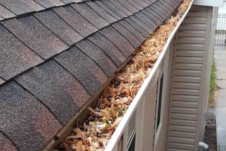 clogged gutter