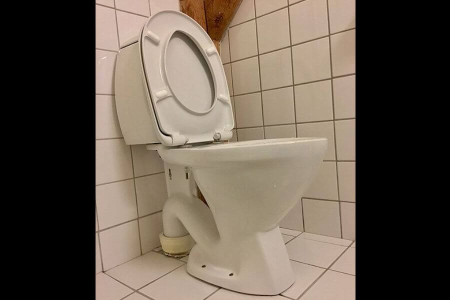 toilet seat