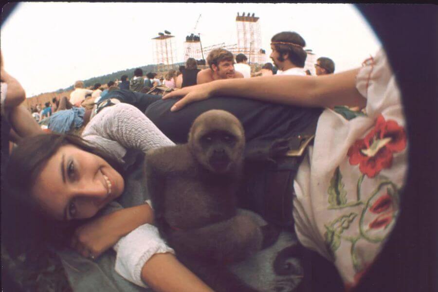 Young woman playing with a monkey at woodstock festival