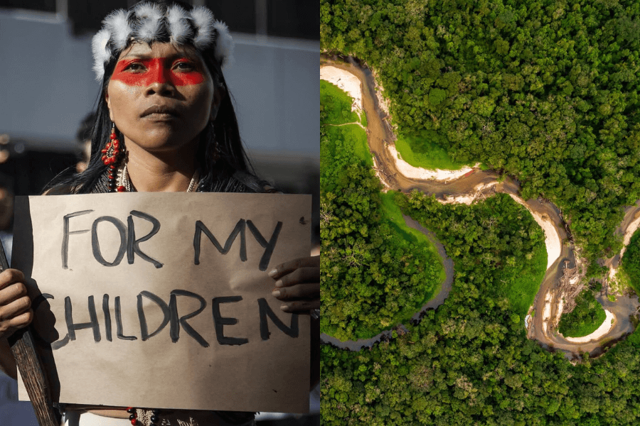 woman protesting for amazon forest protection