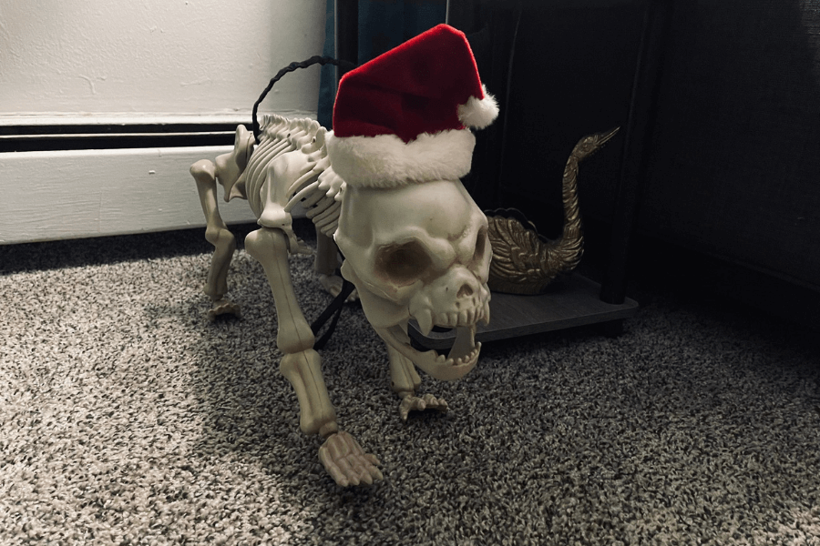 skeleton dog in a Santa hat