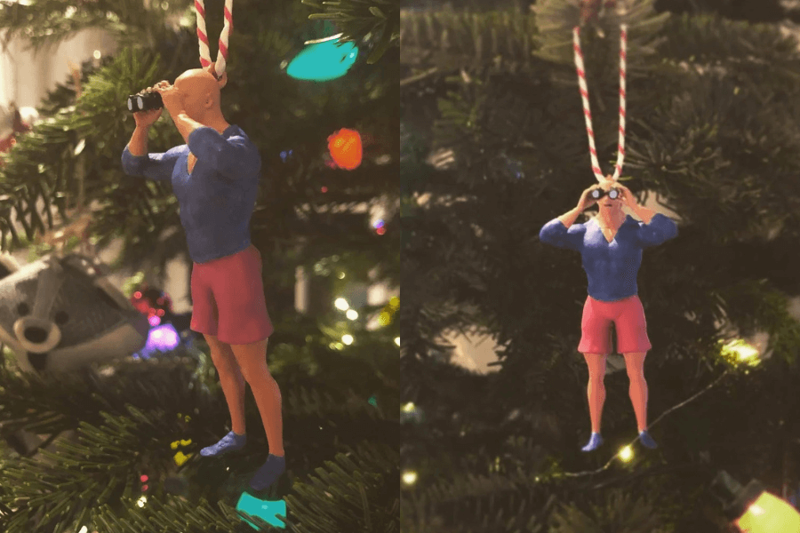 The Rock ornament