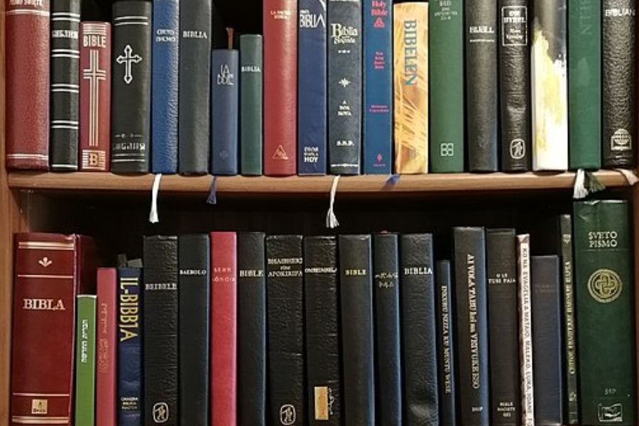 bibles in library