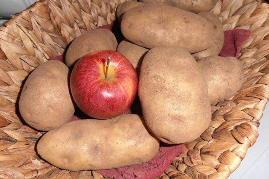 apple and potatoes 