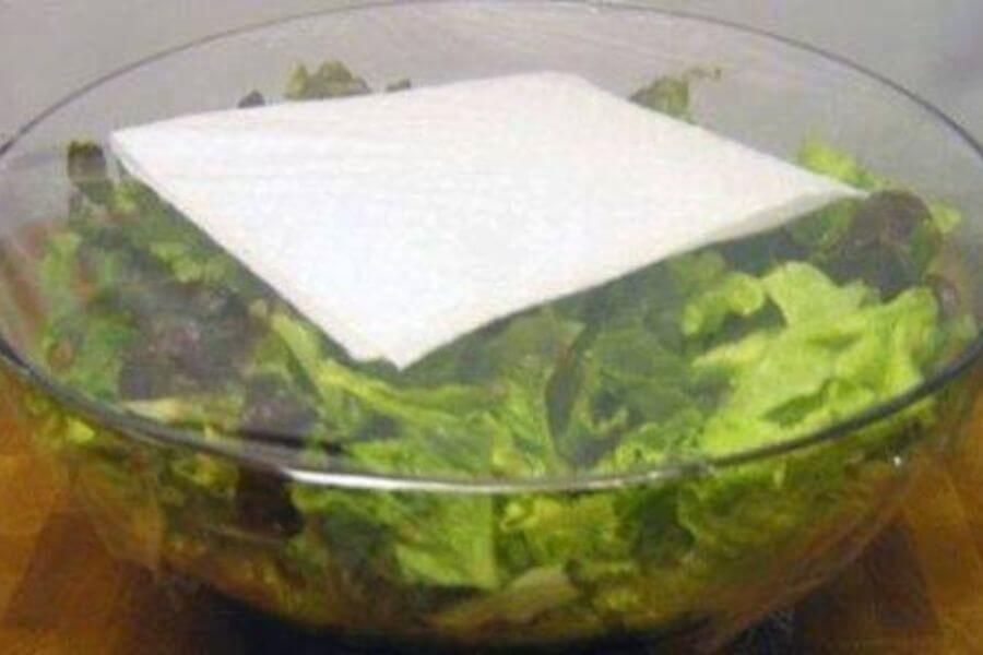 paper towel on top of lettuce salad