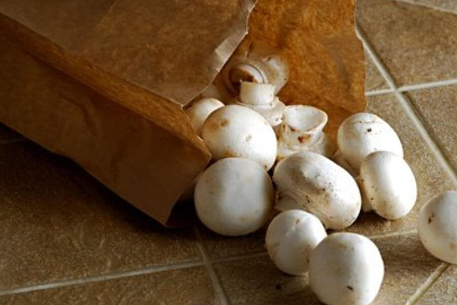 mushrooms inside paper brown bag