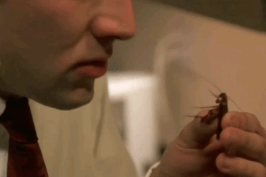 This close-up image shows a man holding a cockroach in his fingers, with his face partially visible and focused on the insect. The setting appears to be indoors, with soft lighting and a neutral background emphasizing the unusual interaction.