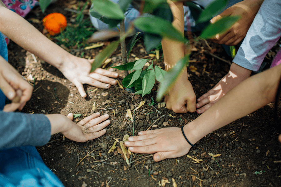 A group of hands gathers around a small sapling being planted in the soil, symbolizing teamwork and environmental care. The scene features vibrant greenery and scattered natural elements in an outdoor setting.