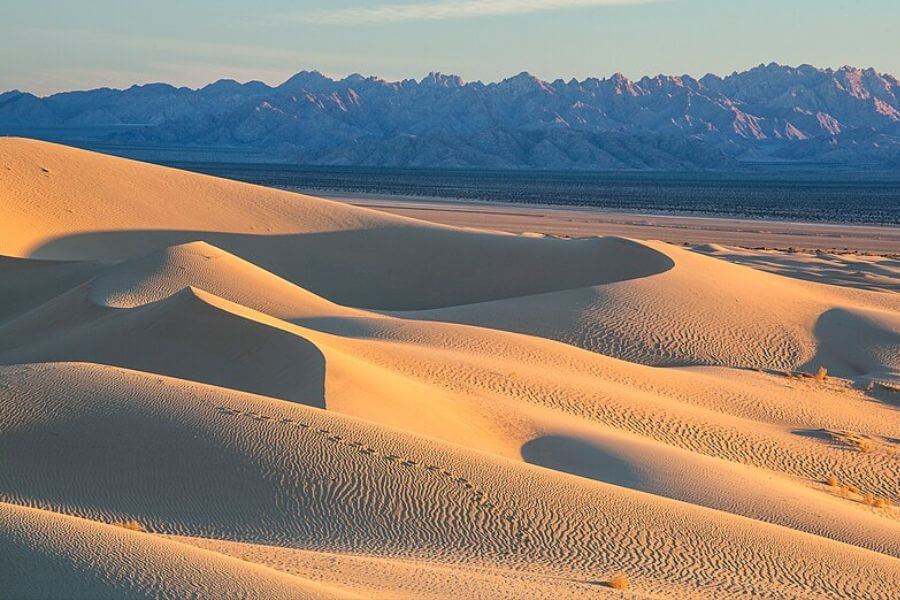 Mojave Trails National Monument dunes