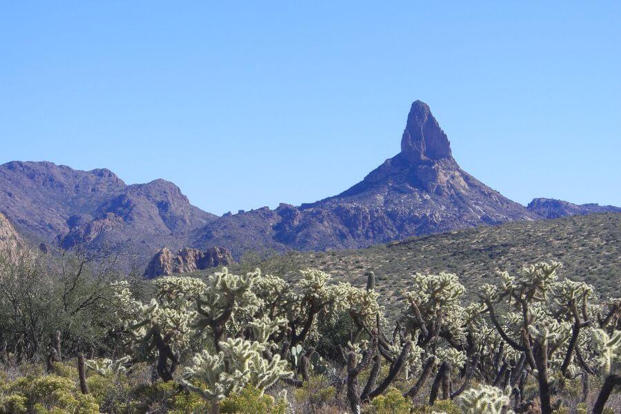 Weavers Needle, Superstition Wilderness, Arizona, USA