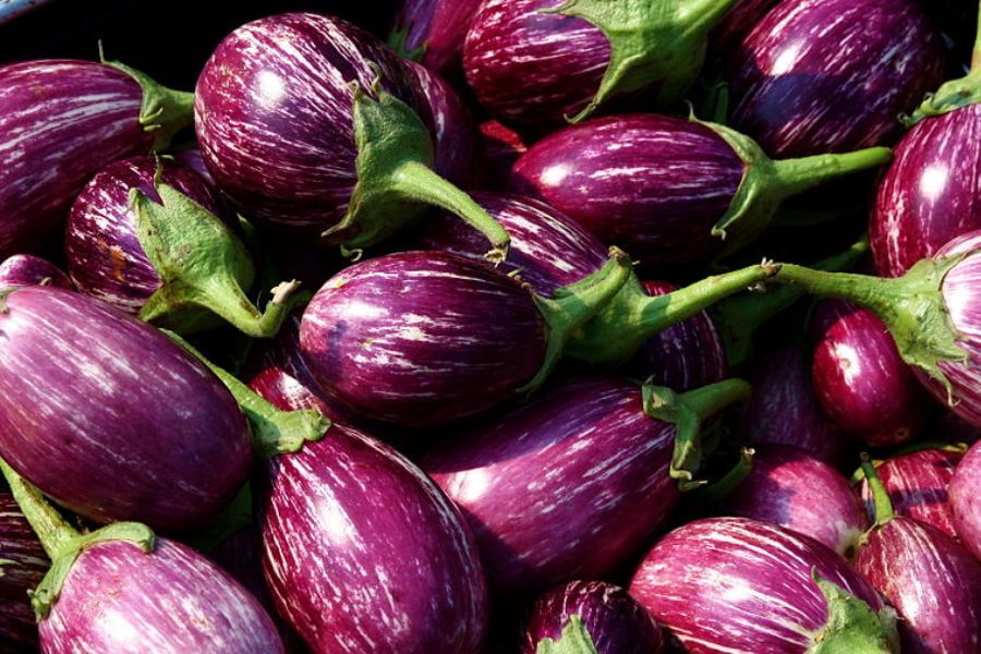 eggplants