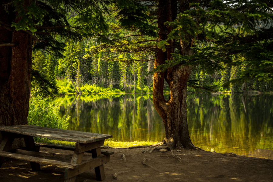 A serene lakeside scene with a wooden picnic table under the shade of tall trees. The calm water reflects the surrounding lush green forest, creating a peaceful natural setting.